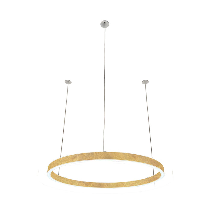 Loop pendant light 24V