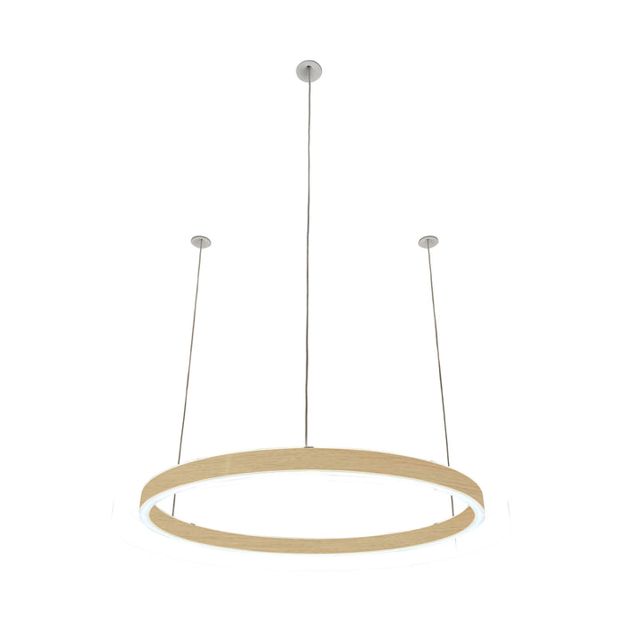 Loop pendant light 24V