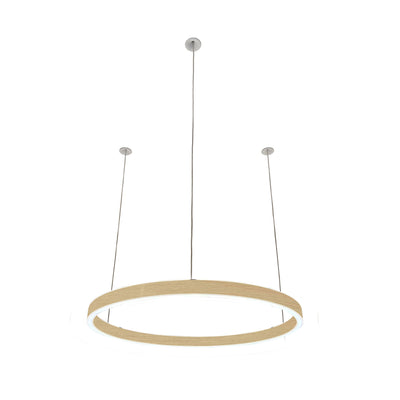 Pendelleuchte Loop 24V