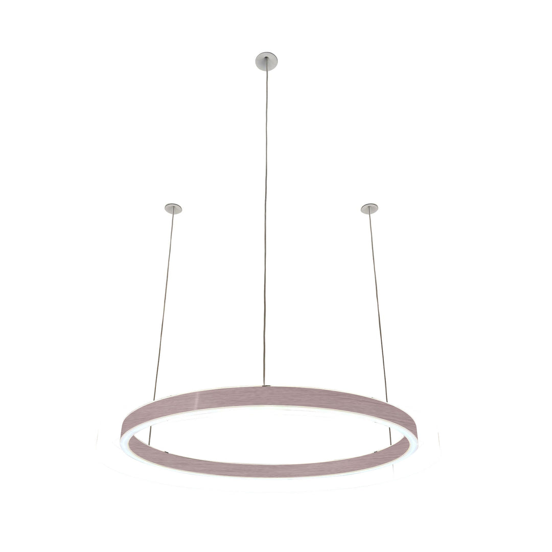 Loop pendant light 24V