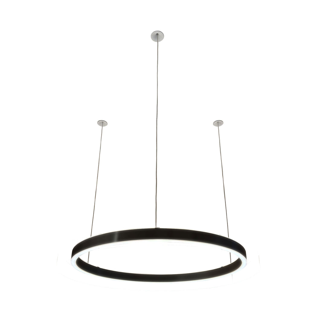 Loop pendant light 24V