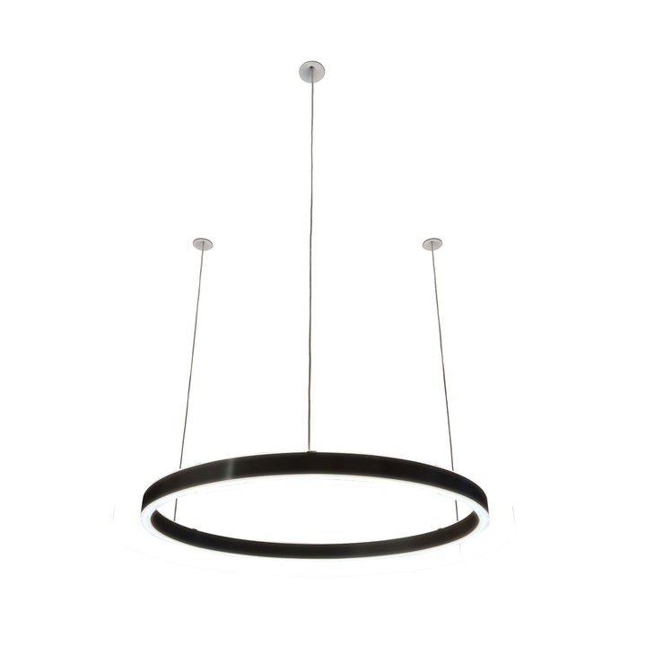 Loop pendant light 24V