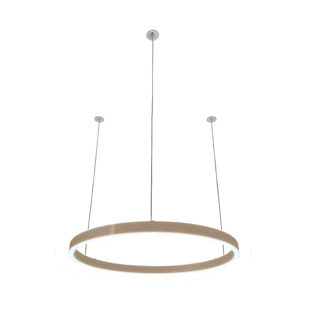 Loop pendant light 24V