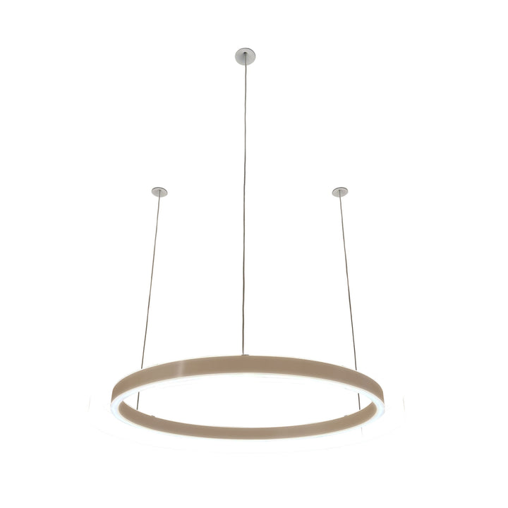 Loop pendant light 24V