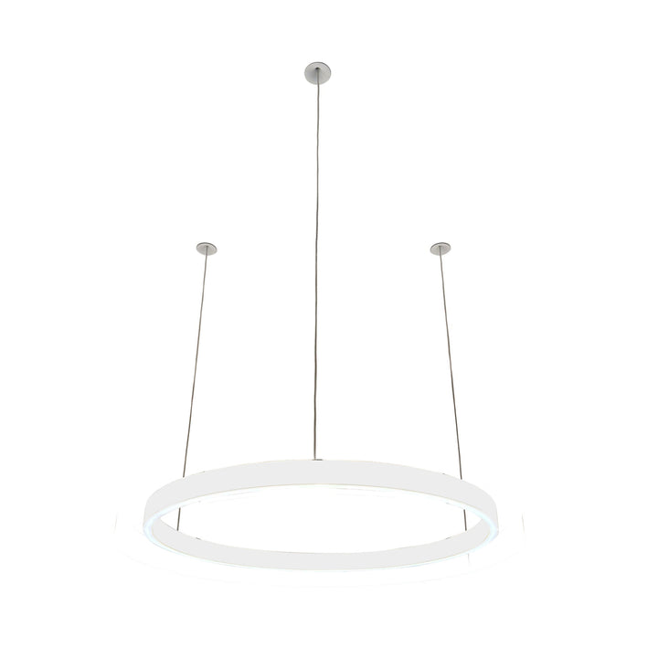 Loop pendant light 24V