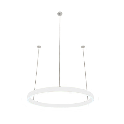 Pendelleuchte Loop 24V