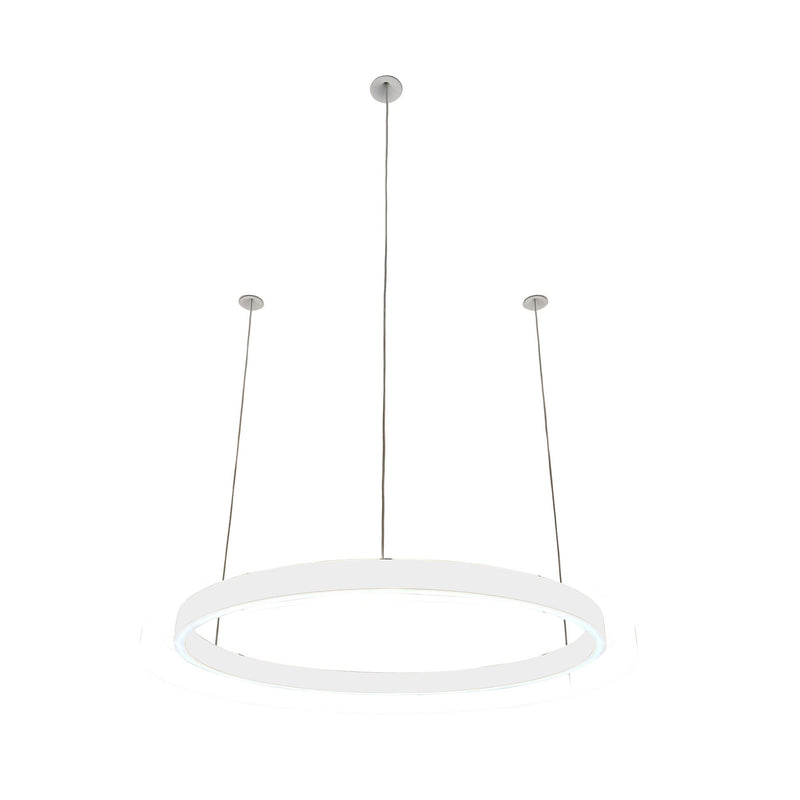 Pendelleuchte Loop 24V