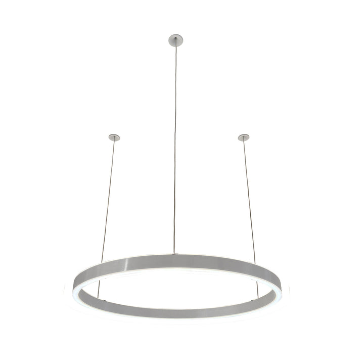 Loop pendant light 24V