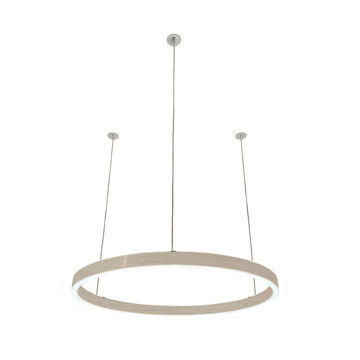 Loop pendant light 24V