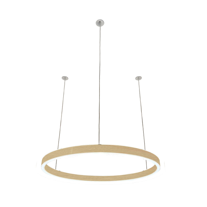 Loop pendant light 24V