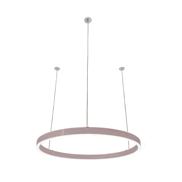 Loop pendant light 24V