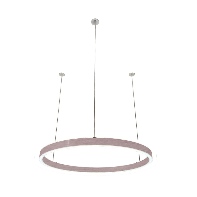 Pendelleuchte Loop 24V