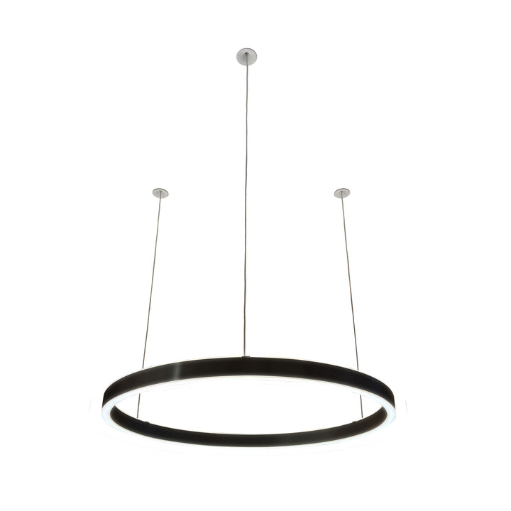 Loop pendant light 24V