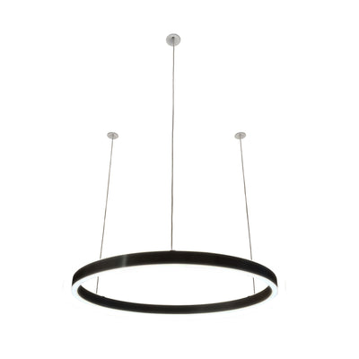 Pendelleuchte Loop 24V