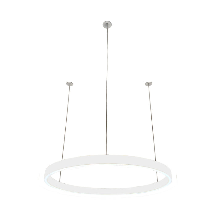 Loop pendant light 24V