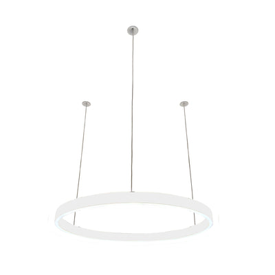 Pendelleuchte Loop 24V