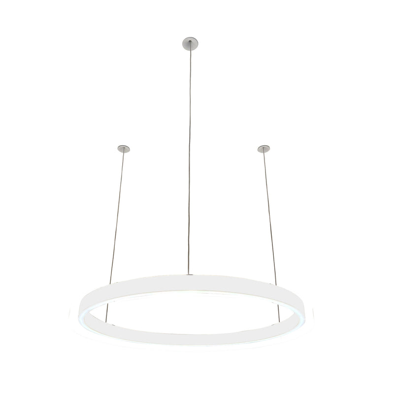 Pendelleuchte Loop 24V