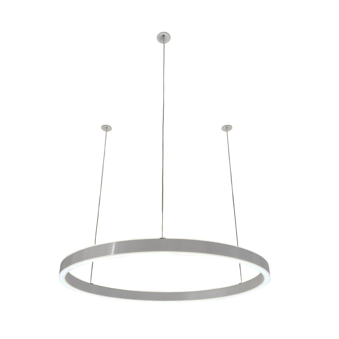Loop pendant light 24V