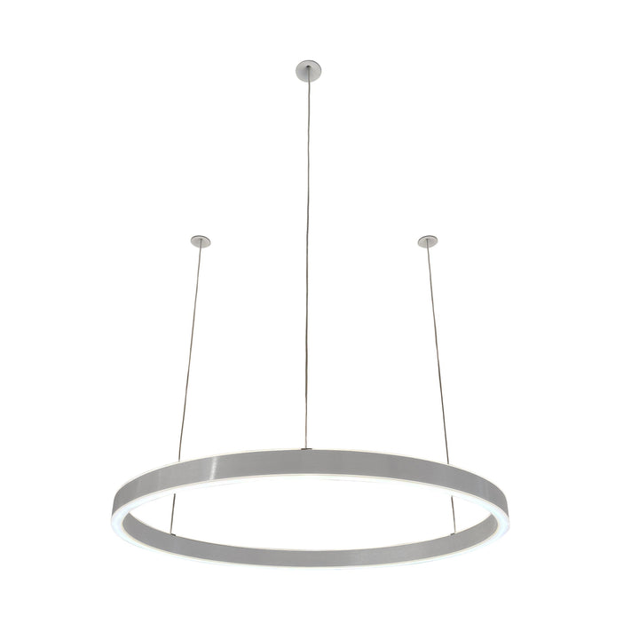 Loop pendant light 24V