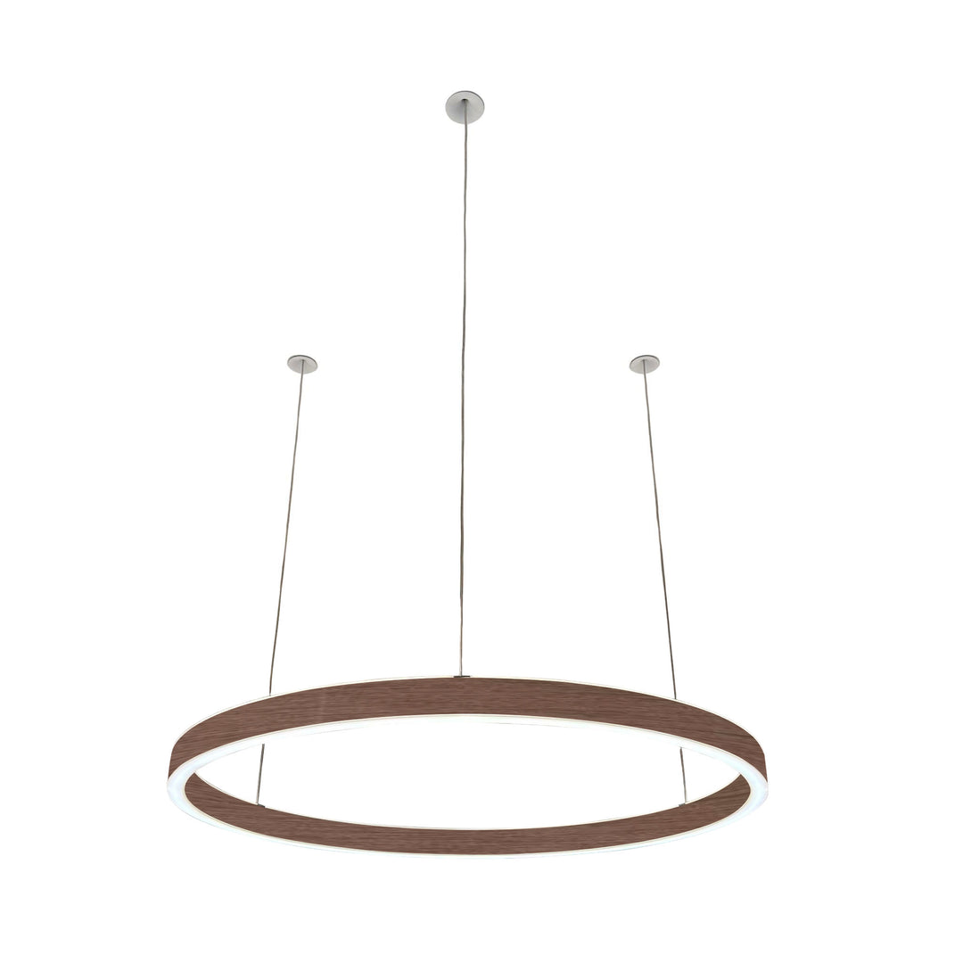Loop pendant light 24V