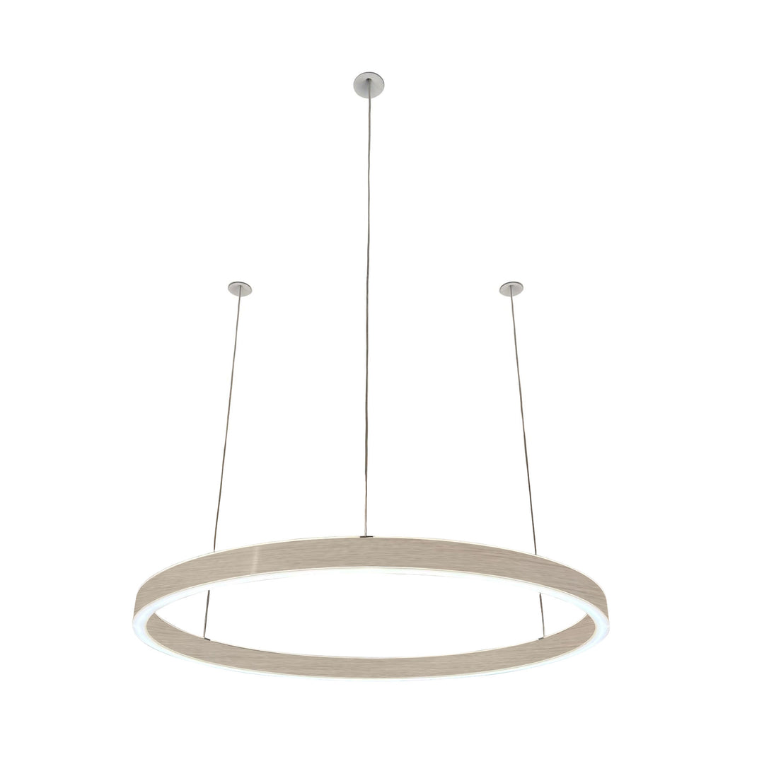 Loop pendant light 24V