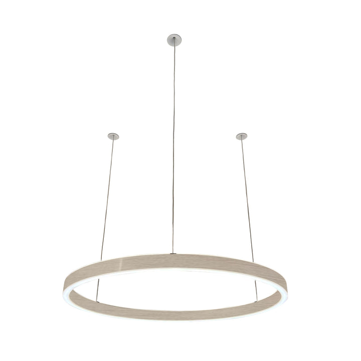 Loop pendant light 24V
