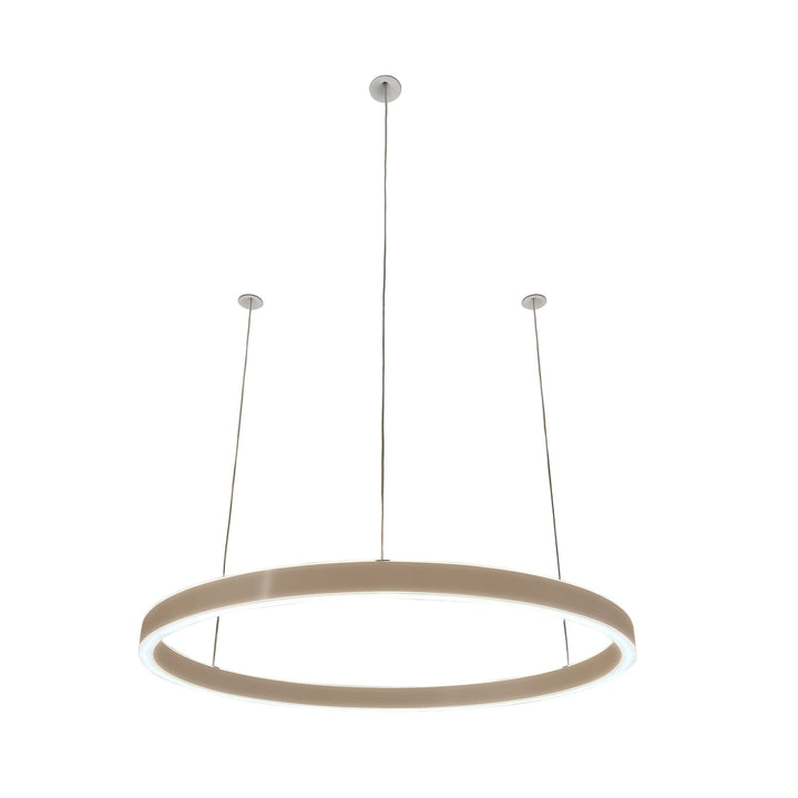 Loop pendant light 24V