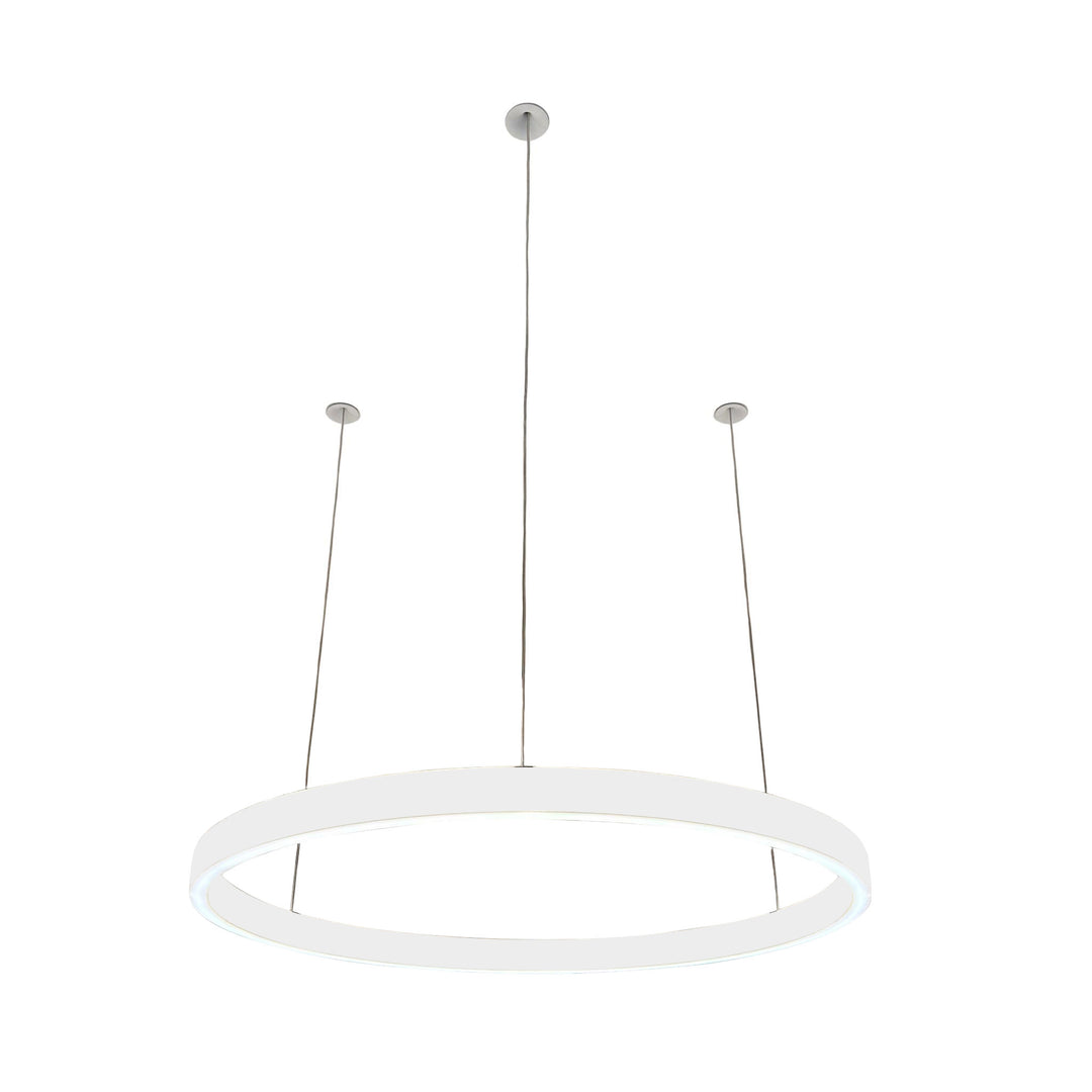 Loop pendant light 24V