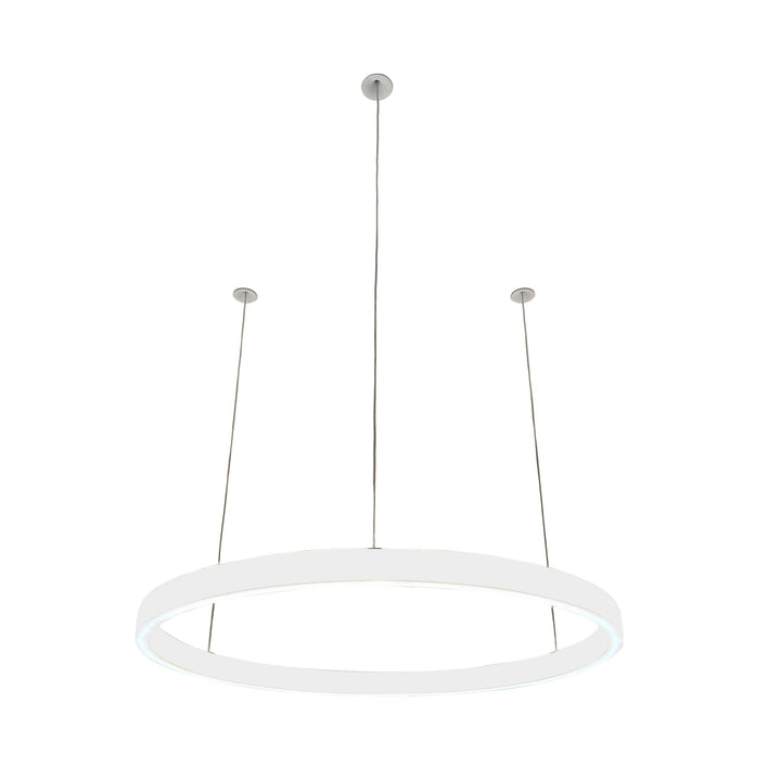 Loop pendant light 24V