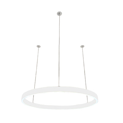 Pendelleuchte Loop 24V