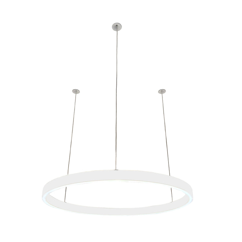 Pendelleuchte Loop 24V