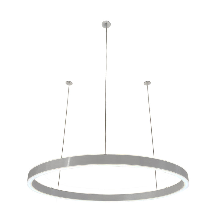 Loop pendant light 24V