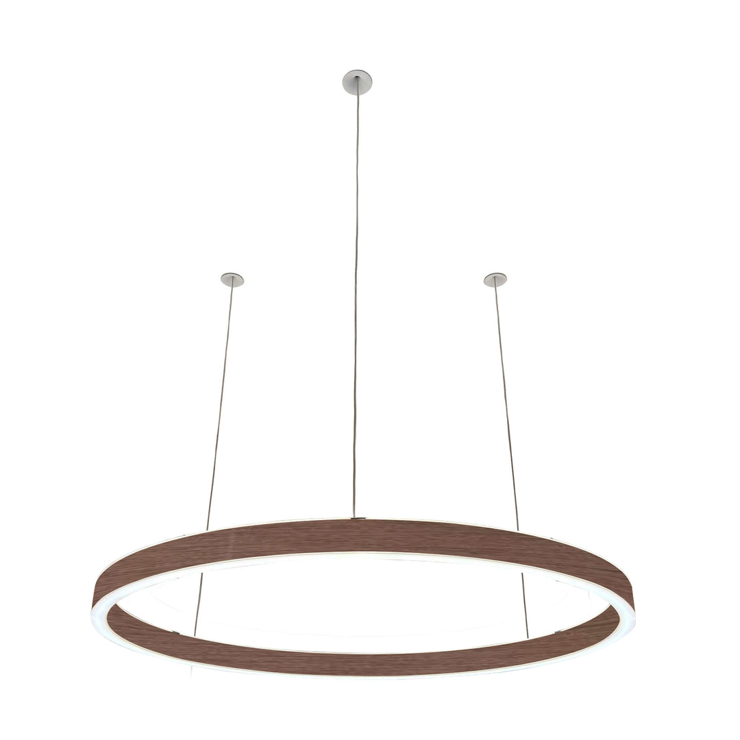 Loop pendant light 24V