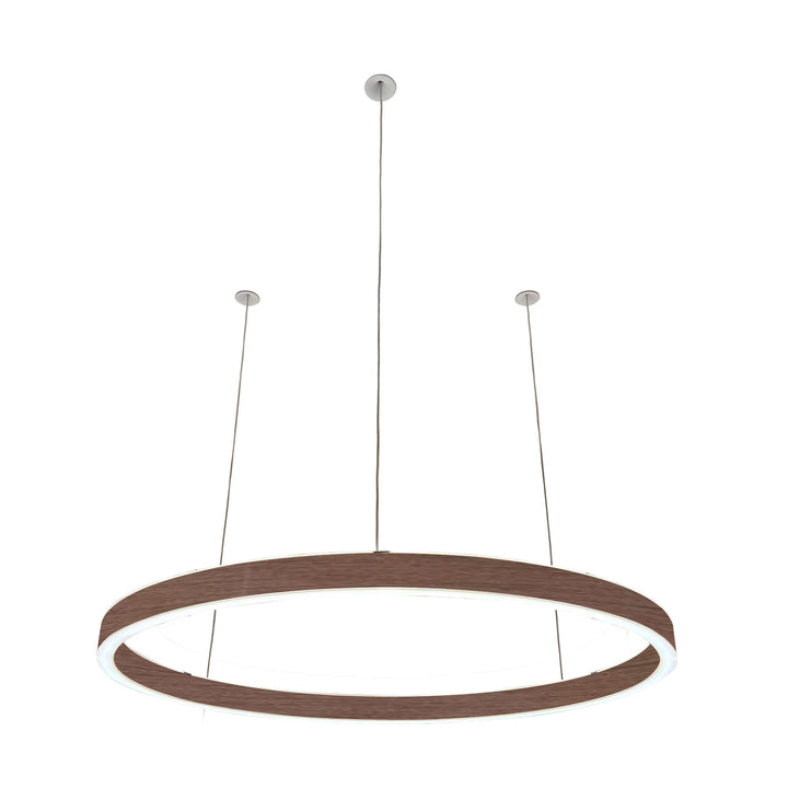 Loop pendant light 24V
