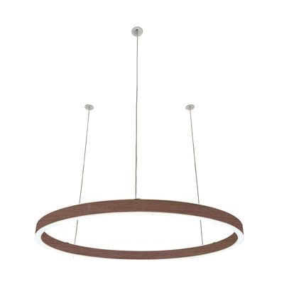 Pendelleuchte Loop 24V