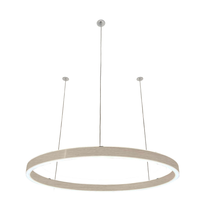 Loop pendant light 24V