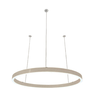 Pendelleuchte Loop 24V