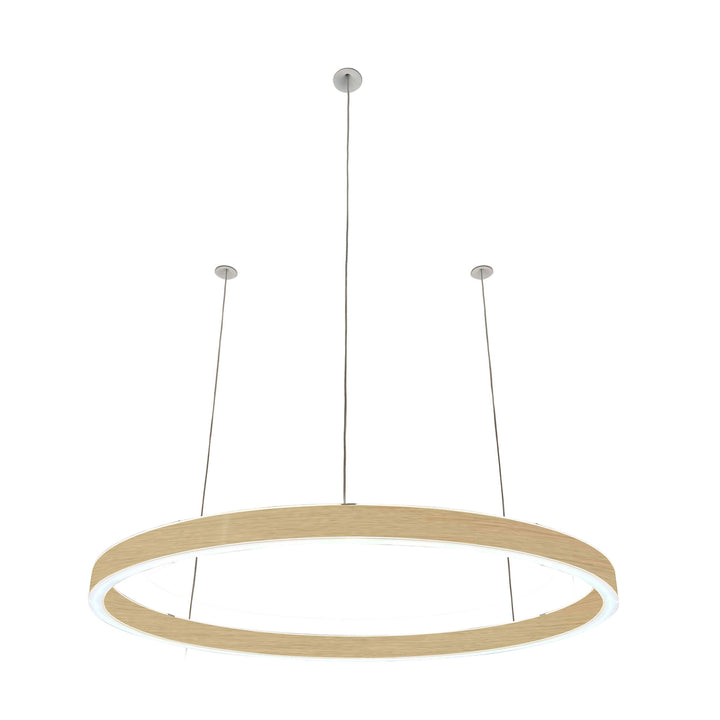 Loop pendant light 24V