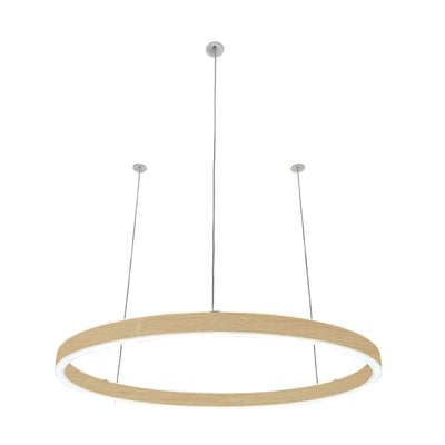 Pendelleuchte Loop 24V