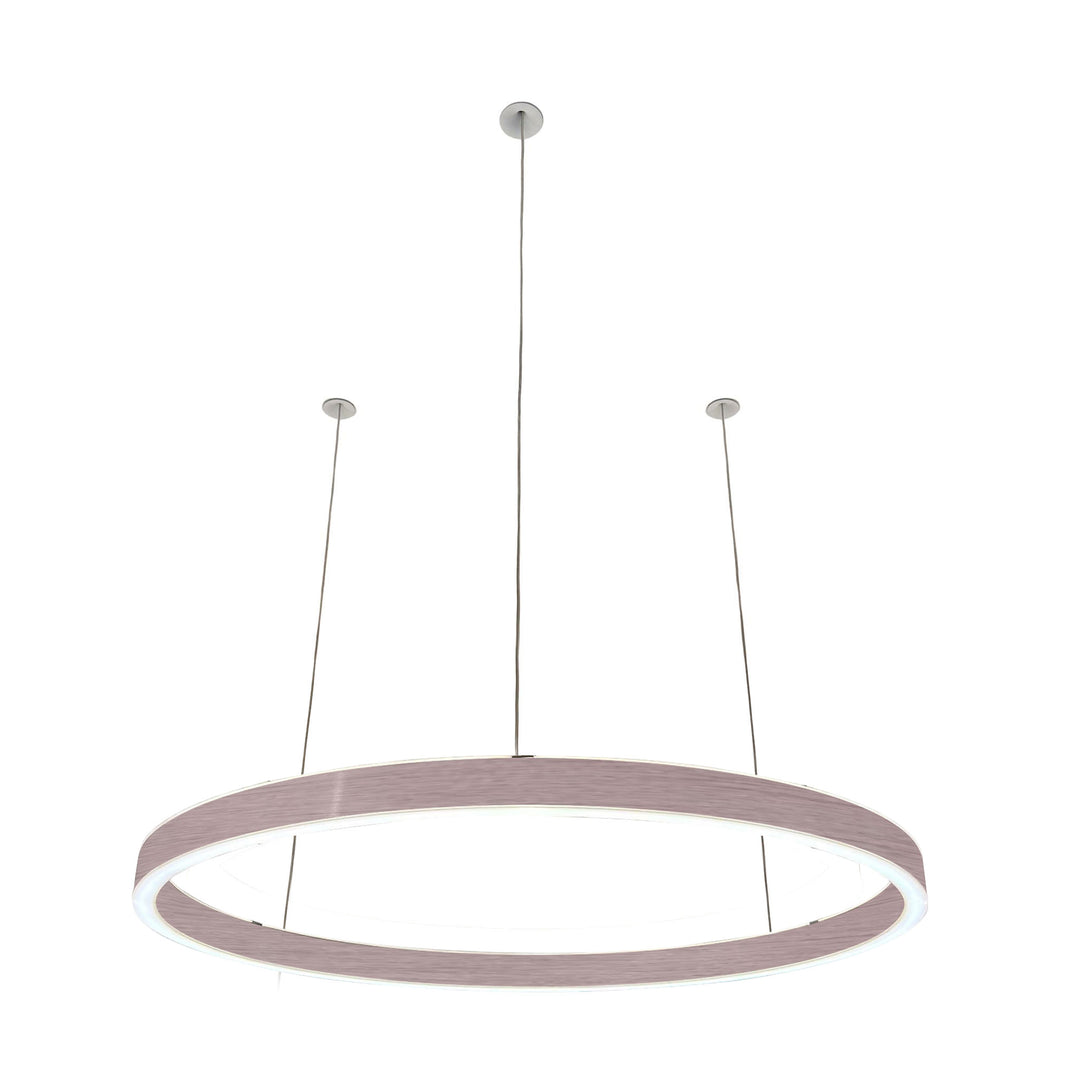 Loop pendant light 24V
