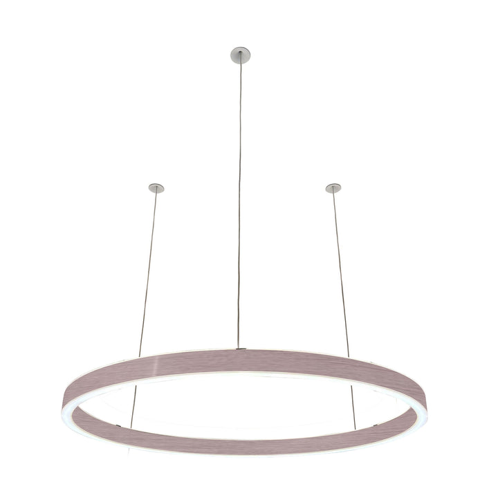 Loop pendant light 24V