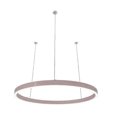 Pendelleuchte Loop 24V
