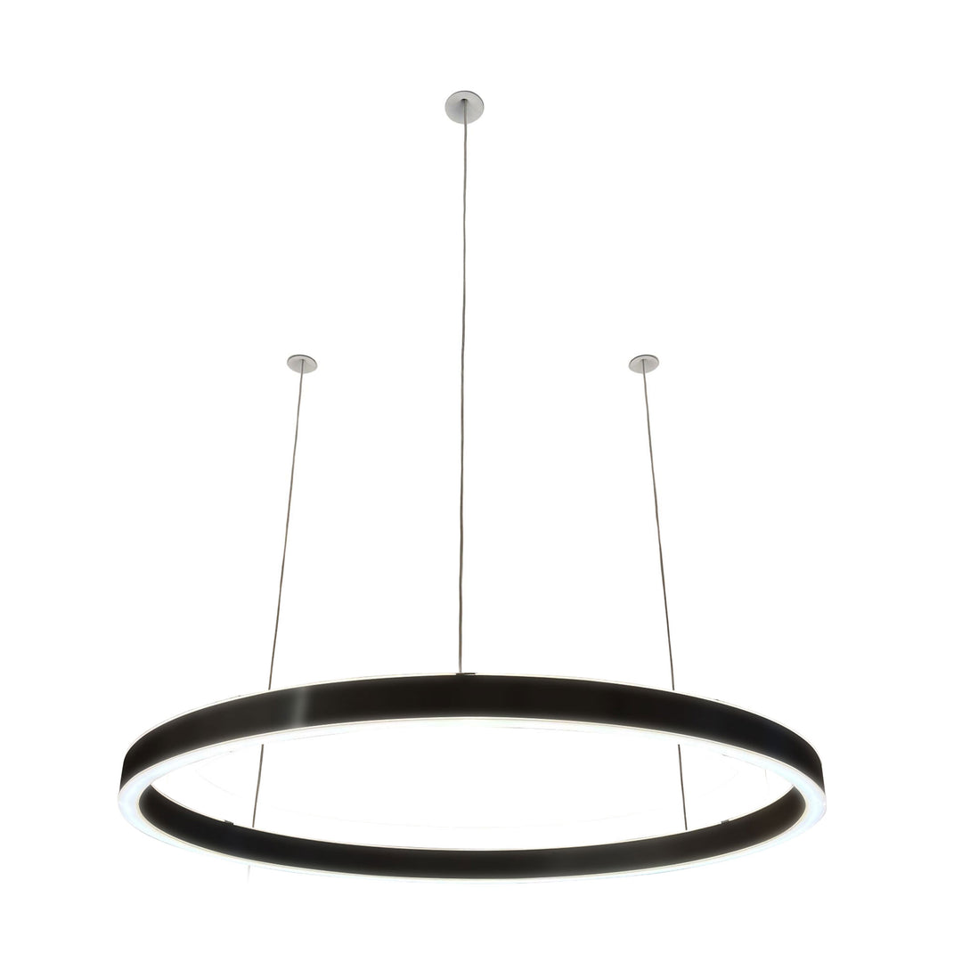 Loop pendant light 24V