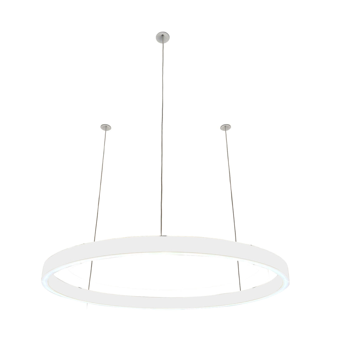Loop pendant light 24V