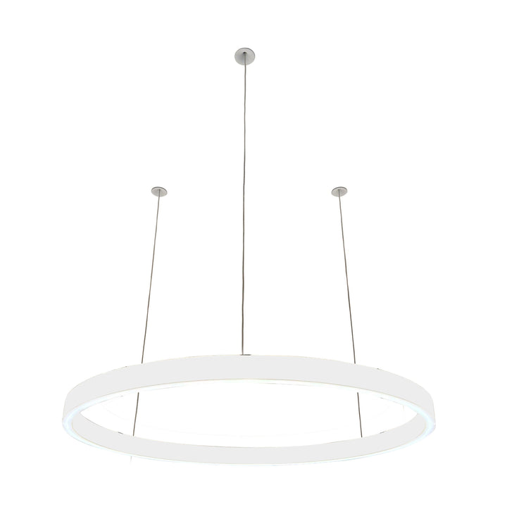 Loop pendant light 24V
