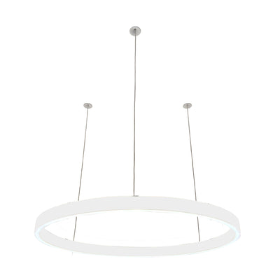 Pendelleuchte Loop 24V