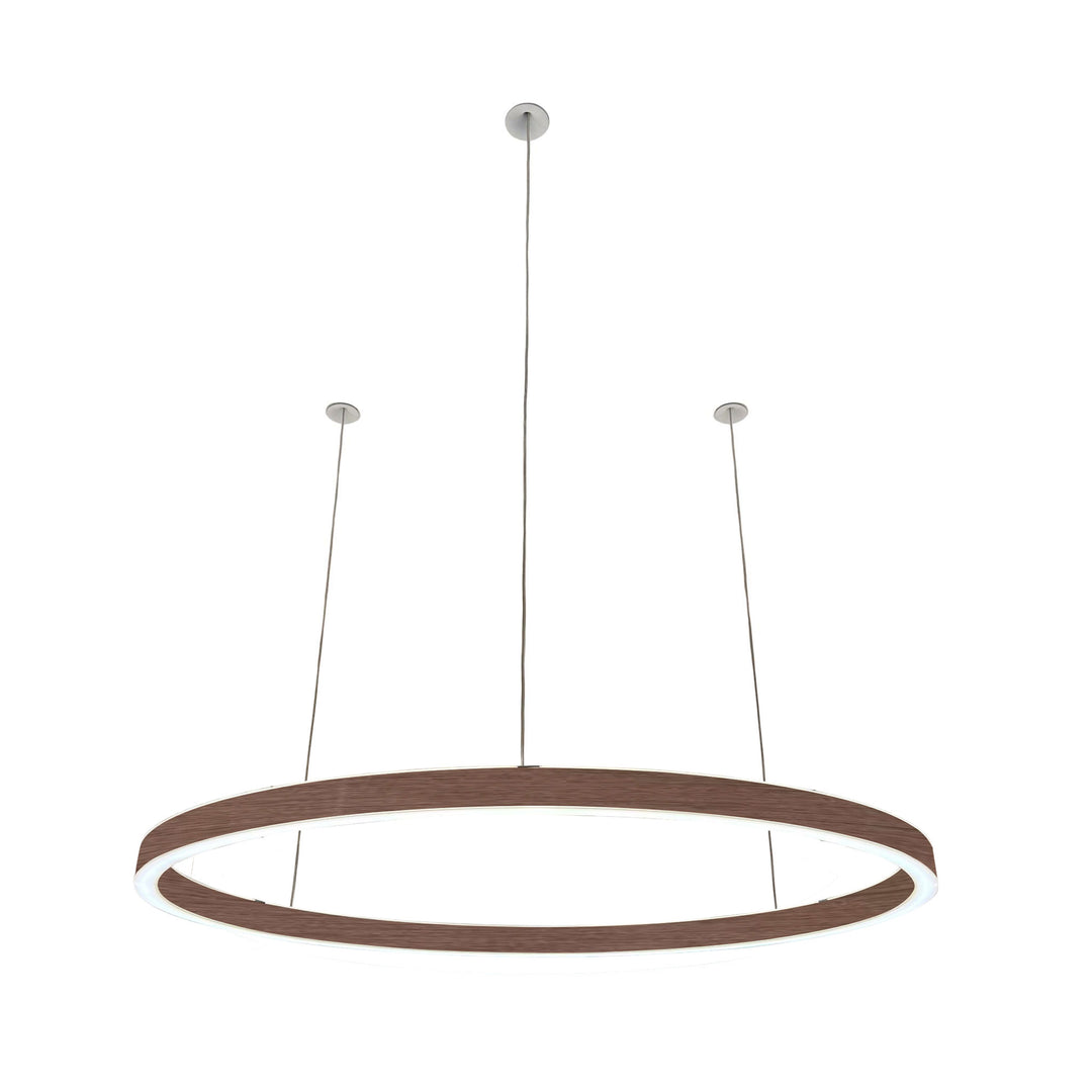 Suspension ovale 24V