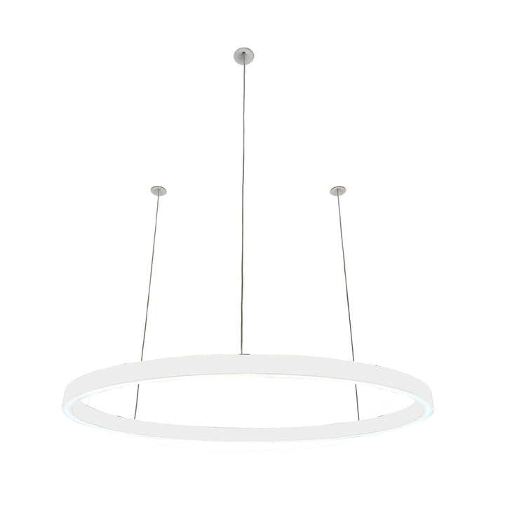 Suspension ovale 24V