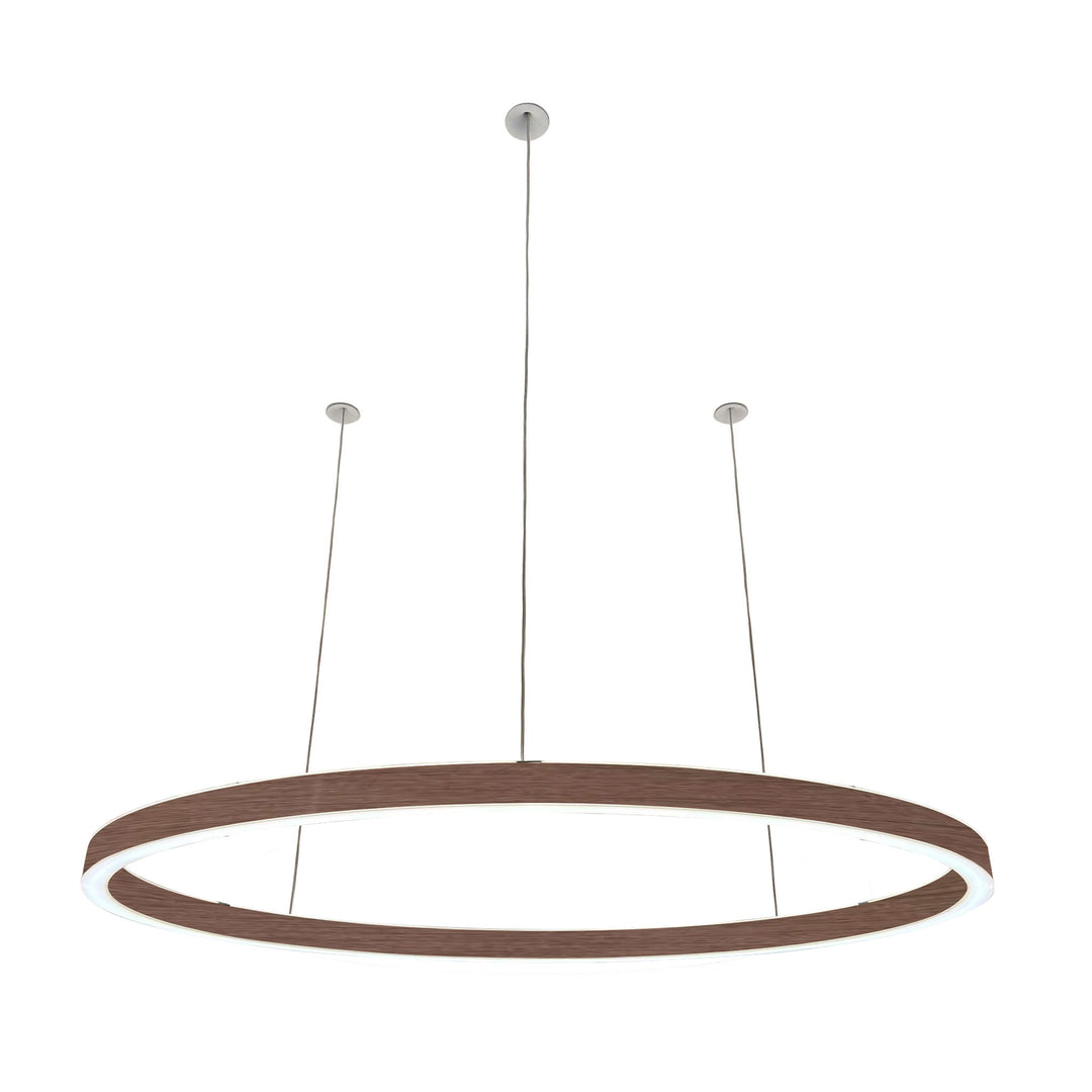 Suspension ovale 24V