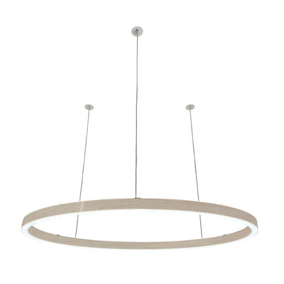 Pendelleuchte Ovally 24V